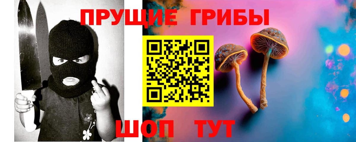 Псилоцибиновые грибы MAGIC MUSHROOMS Алейск