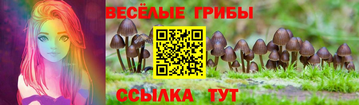 Алейск  Галлюциногенные грибы мухоморы  Вход с VPN 
